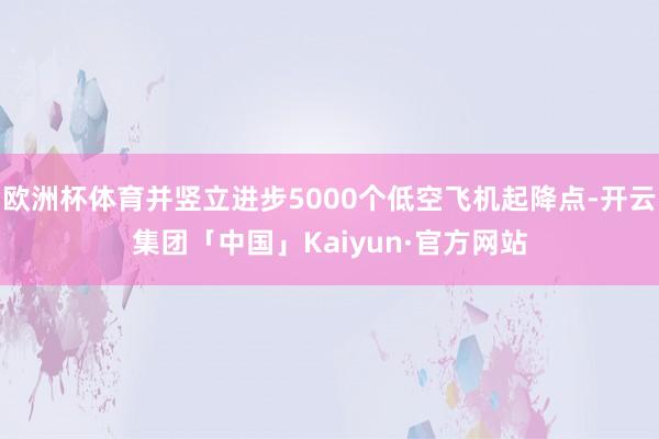 欧洲杯体育并竖立进步5000个低空飞机起降点-开云集团「中国」Kaiyun·官方网站