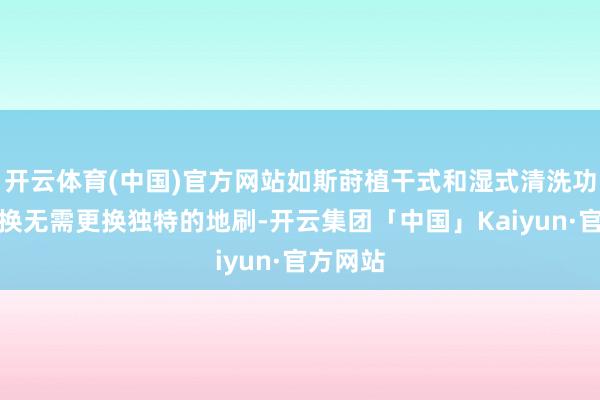 开云体育(中国)官方网站如斯莳植干式和湿式清洗功能的切换无需更换独特的地刷-开云集团「中国」Kaiyun·官方网站