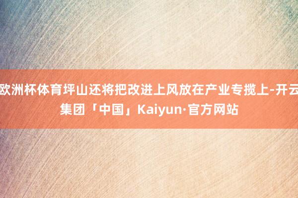 欧洲杯体育坪山还将把改进上风放在产业专揽上-开云集团「中国」Kaiyun·官方网站