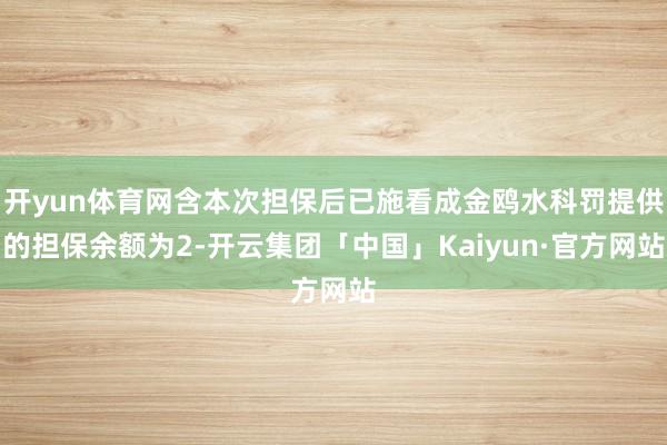 开yun体育网含本次担保后已施看成金鸥水科罚提供的担保余额为2-开云集团「中国」Kaiyun·官方网站