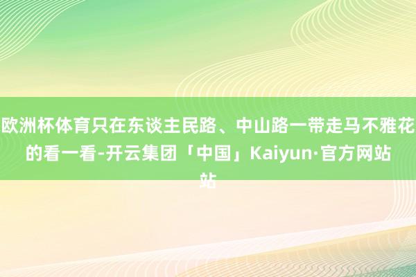欧洲杯体育只在东谈主民路、中山路一带走马不雅花的看一看-开云集团「中国」Kaiyun·官方网站
