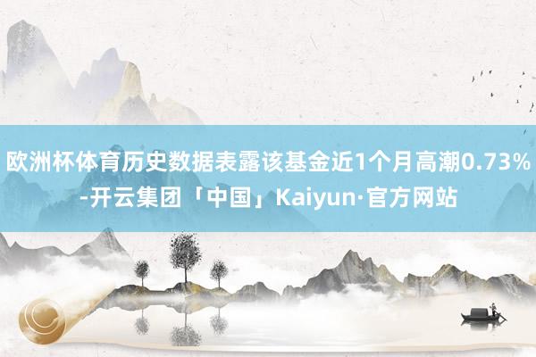 欧洲杯体育历史数据表露该基金近1个月高潮0.73%-开云集团「中国」Kaiyun·官方网站